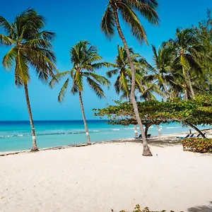 Coconut Court *** Christ Church
